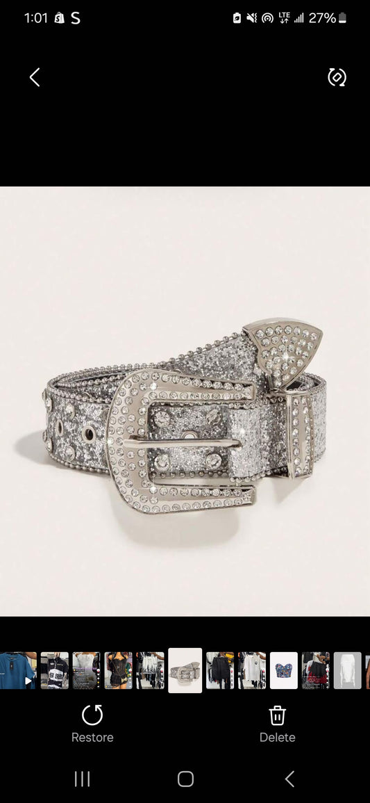 Silver Belt